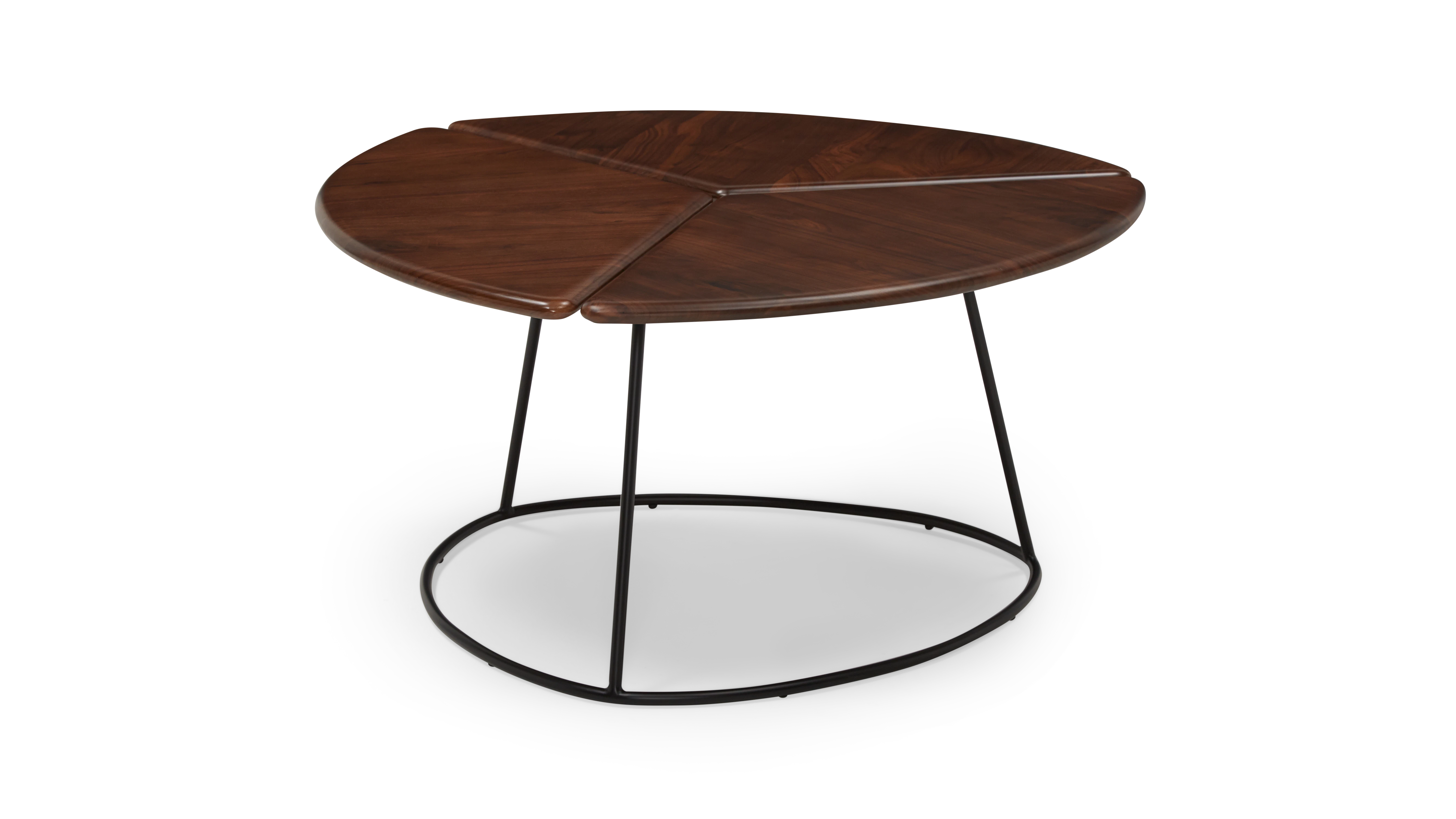 Monstera Coffee Table